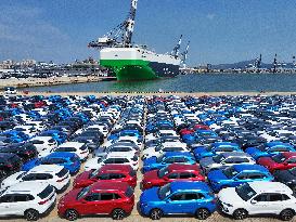 World Largest Roll-on/roll-off Ship For Automobiles