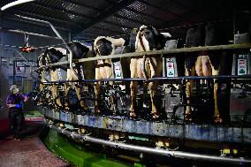 Intelligent Dairy Farm in Haian