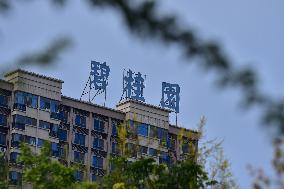 Country Garden Crisis