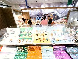 Pop Mart Market Value Increases