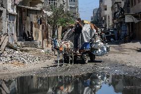 Gaza City Evacuation - Palestine