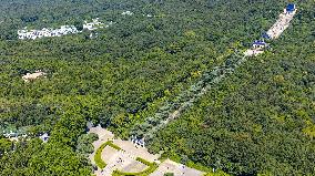 Sun Yat-sen's Mausoleum Tour in Nanjing