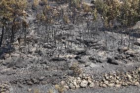 Wildfires Raging Across Central Portugal - Gardunha