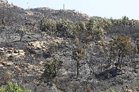 Wildfires Raging Across Central Portugal - Gardunha