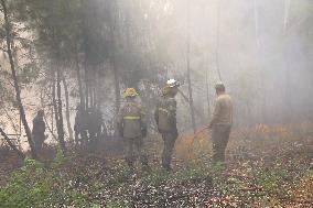 Wildfires Raging Across Central Portugal - Gardunha
