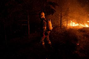 Wildfires in Spain - Favorable Evolution in Castilla y Leon