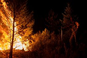 Wildfires in Spain - Favorable Evolution in Castilla y Leon