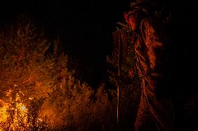Wildfires in Spain - Favorable Evolution in Castilla y Leon