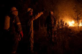 Wildfires in Spain - Favorable Evolution in Castilla y Leon