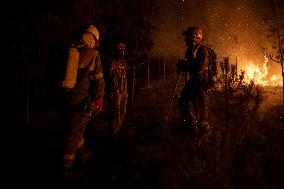 Wildfires in Spain - Favorable Evolution in Castilla y Leon