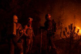 Wildfires in Spain - Favorable Evolution in Castilla y Leon