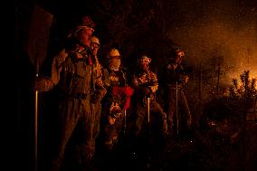 Wildfires in Spain - Favorable Evolution in Castilla y Leon