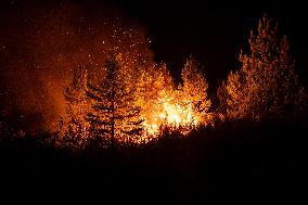 Wildfires in Spain - Favorable Evolution in Castilla y Leon