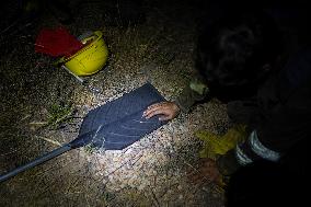 Wildfires in Spain - Favorable Evolution in Castilla y Leon