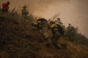 The Largest Fire In The History Of Galicia Is Stabilized - Spain -