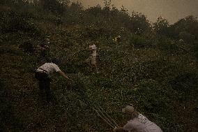 The Largest Fire In The History Of Galicia Is Stabilized - Spain -