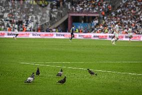 Ligue 1 Olympique de Marseille vs Paris FC - FA