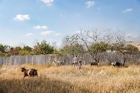 Russia Strikes the Kramatorsk Community - Ukraine