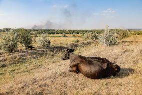 Russia Strikes the Kramatorsk Community - Ukraine