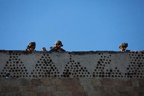 Israeli Army Checks Journalists in Hebron - Palestine