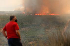 Fire in Zamora Remains Active - Spain