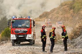 Fire in Zamora Remains Active - Spain