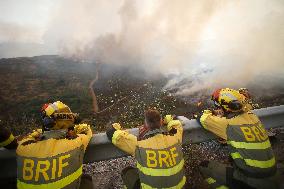 Fire in Zamora Remains Active - Spain