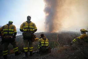 Fire in Zamora Remains Active - Spain