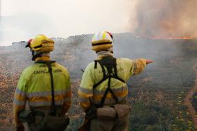 Fire in Zamora Remains Active - Spain