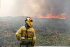 Fire in Zamora Remains Active - Spain