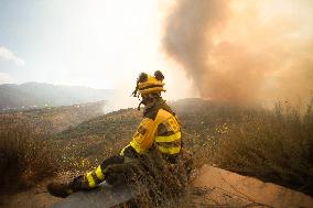 Fire in Zamora Remains Active - Spain