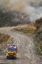 Fire in Zamora Remains Active - Spain