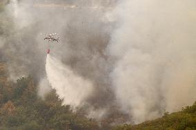 Fire in Zamora Remains Active - Spain