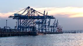 Quanzhou Port Shihu Port Area Container Trade