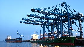 Quanzhou Port Shihu Port Area Container Trade