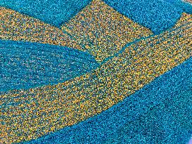 Marigold Planting Base in Bijie