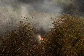 Wildfires Drive Evacuations in Leon