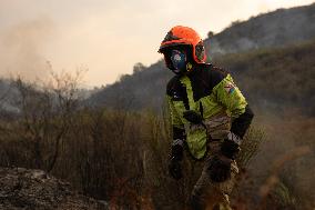 Wildfires Drive Evacuations in Leon