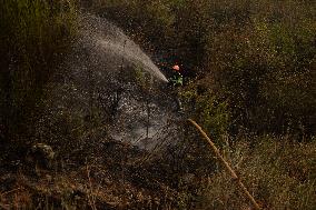 Wildfires Drive Evacuations in Leon