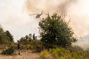 Wildfires Drive Evacuations in Leon