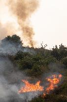 Wildfires Drive Evacuations in Leon