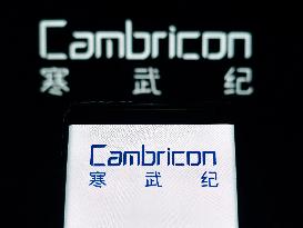Illustration Cambricon