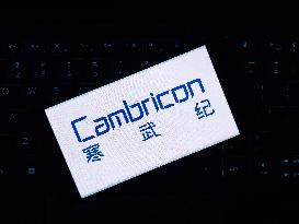Illustration Cambricon