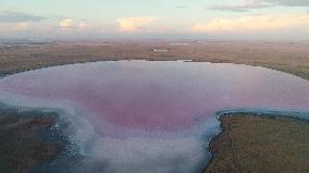 Kobeytuz Lake - Kazakhstan