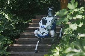 Intelligent Robot Police Dog