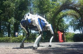 Intelligent Robot Police Dog