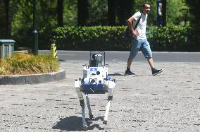 Intelligent Robot Police Dog
