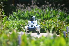 Intelligent Robot Police Dog