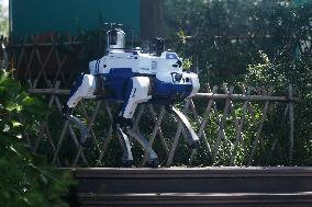 Intelligent Robot Police Dog