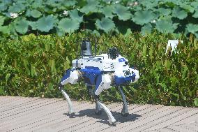 Intelligent Robot Police Dog